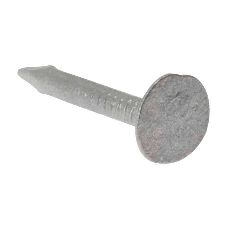 212NLELH30GB Clout Nail Extra Large Head Galvanised 30mm (2.5kg Bag) FORELH30GB21 - Forgefix