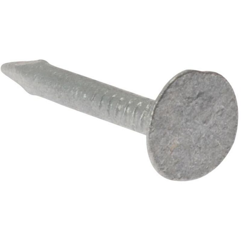 Clout Nail Extra Large Head Galvanised 30MM (2.5KG Bag) - Forgefix