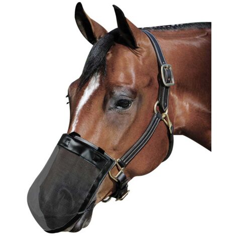 Cob: Maschera antimosche per il naso del cavallo a strappo modello Nose Guard