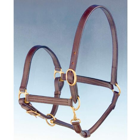Cob, Nero: Double licol en cuir avec boucles en laiton