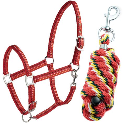 Cob, Nero Inserti Giallo, Bianco, Rosso: Set capezza e longhina in nylon imbottito con fibbiera di qualità
