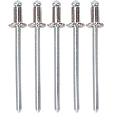 Cocoarm 4 Stück Aluminium-Rosetten, langlebige Nieten, professionelle Leistungsverbesserung, einfache Installation für AMC-VIN-Türschilder (SILBER).