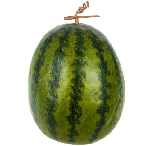 Cocomero Ovale Artificiale Larghezza 26 cm