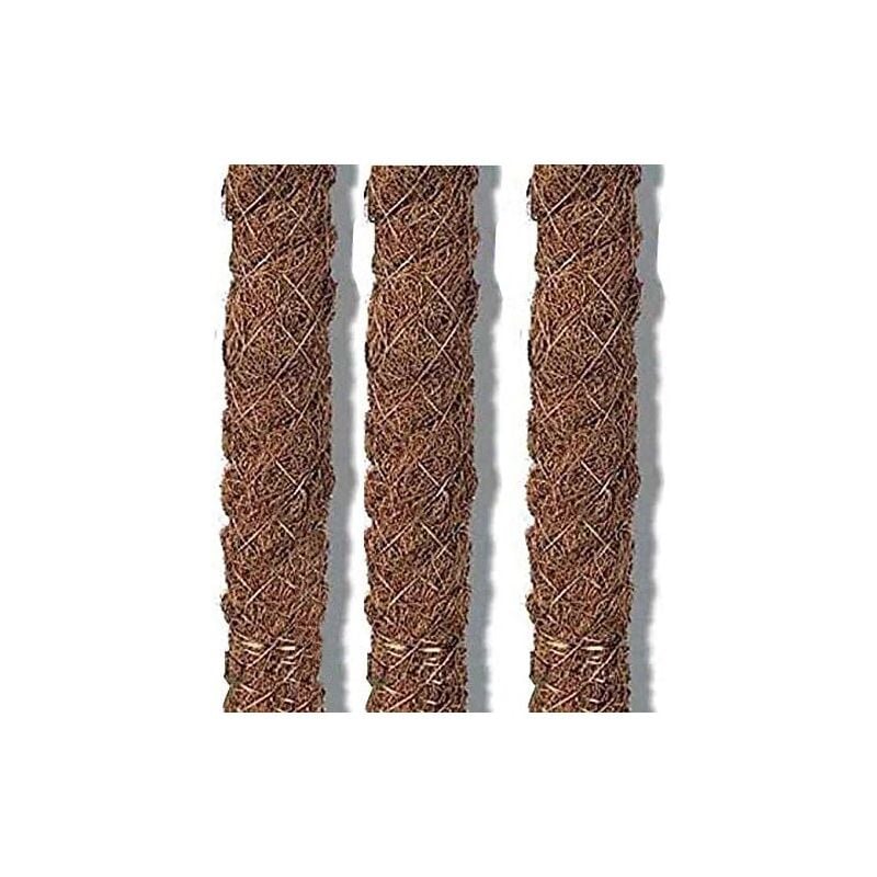Suinga - Lot de 20 Piquet Tuteurs en Mousse de Coco de 60 cm ø 32 mm Utilisé en agriculture, plantations et floriculture