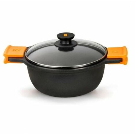 COCOTTE À HAUTE INDUCTION EFFICACE - 20 CM