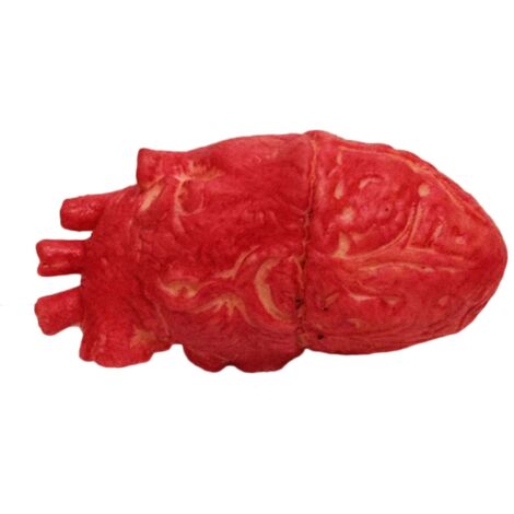 Cœur Humain Faux Taille Réelle en Latex Sanguinolent pour Accessoires Horreur Halloween