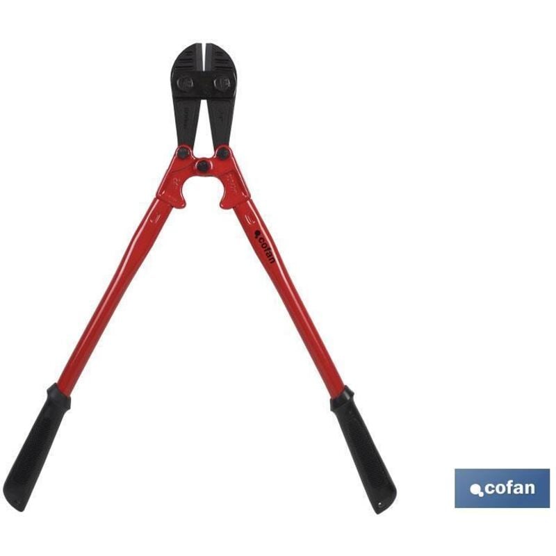 Tagliacanne L-18
