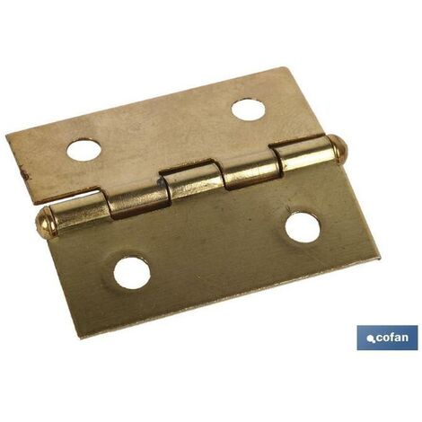 COFAN 2 uds. bisagra de hierro latonado 60x40 venta unitaria