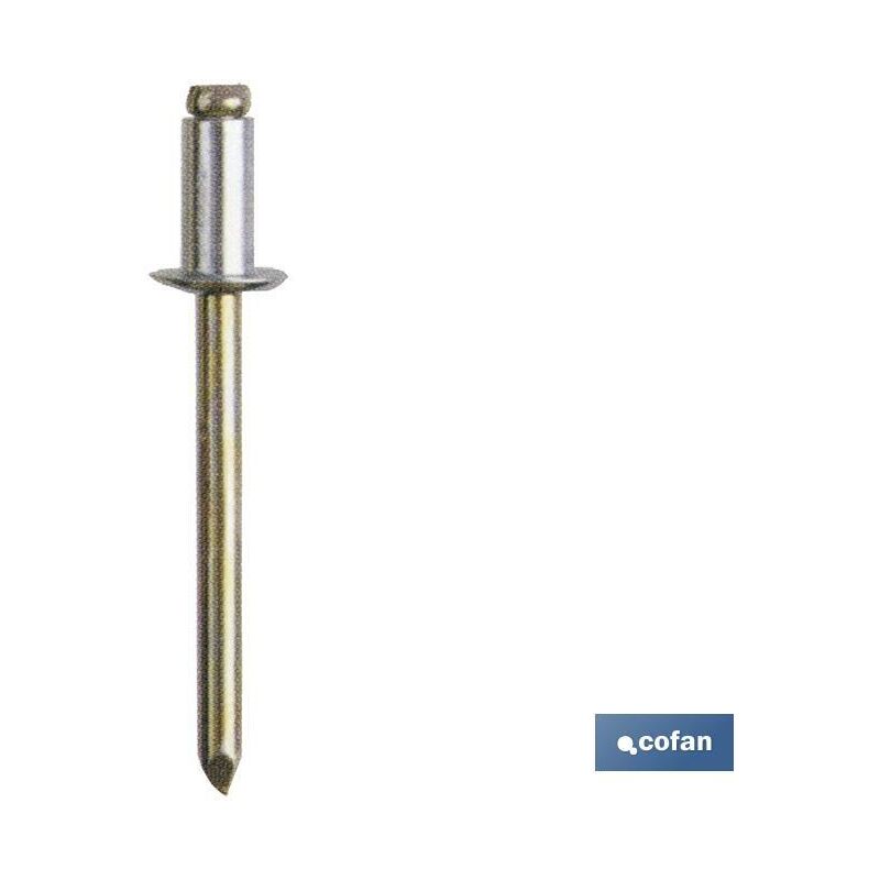 

Remaches Todo Acero Cabeza Alomada Diametro D1 mm x L mm:4,0 x 30 500 unidades