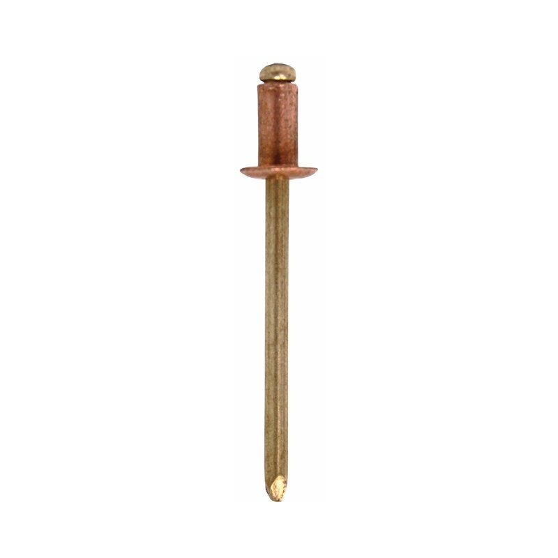 

Remaches Cobre - Bronce Diametro D1 mm x L mm:3,2 x 11 1000 unidades