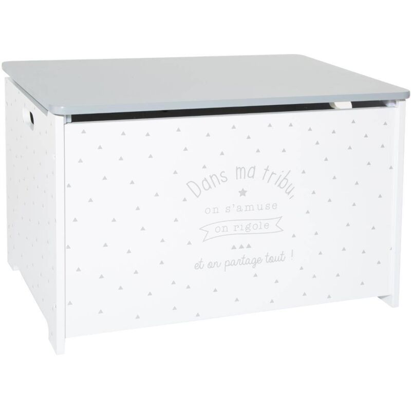 Coffre à Jouets pour Enfants, Coloris Blanc et Gris, Dimensions 58 x 37,5 x 38 cm, Rangement Pratique et Sécurisé