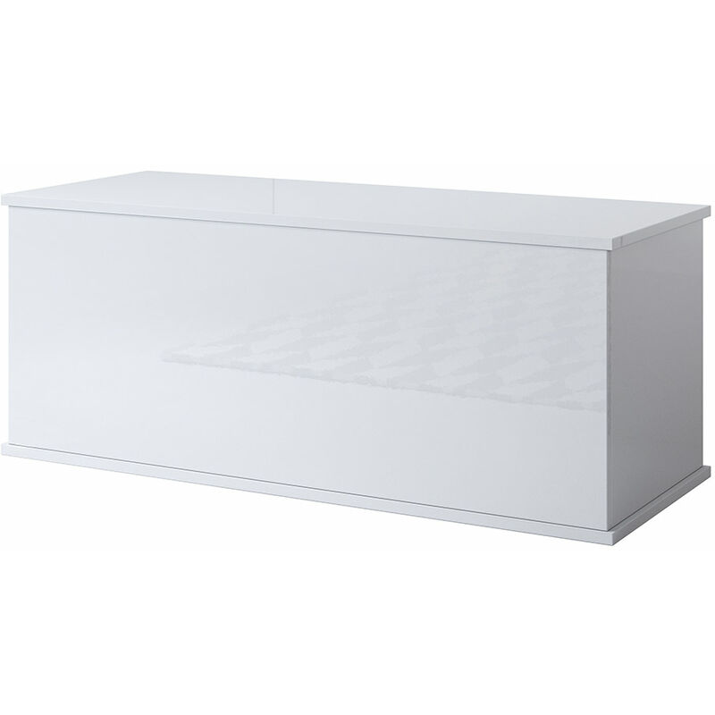 Coffre de Rangement intérieur Banc de Rangement 100x40x40cm Modèle ARIEL Blanc Finition Brillante - Blanc