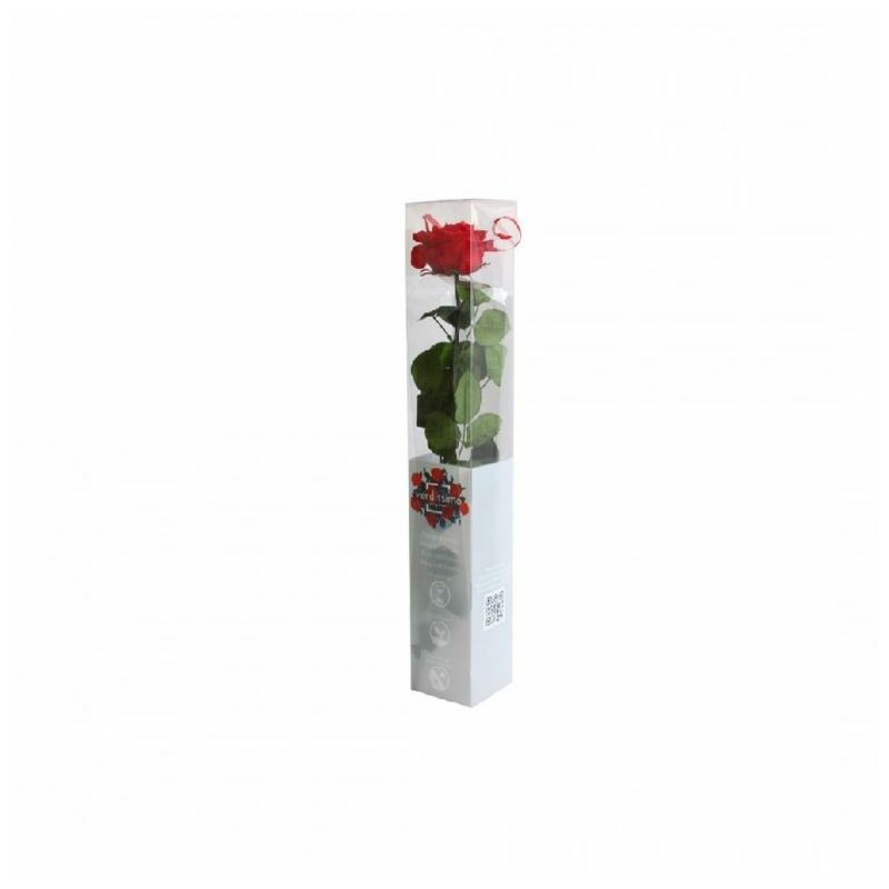 Naturalys - Coffre rose premium Rouge