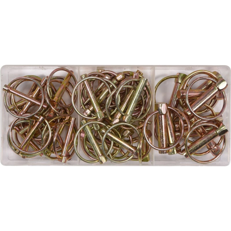 Coffret 50 goupilles clips d'attelage agricole avec anneau assorties 4,5 à 11 mm