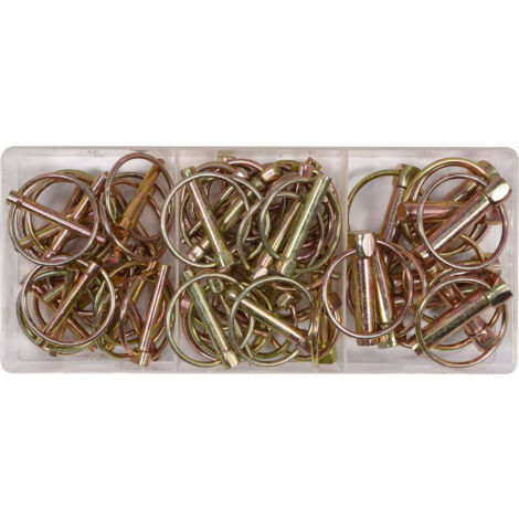 Coffret 50 goupilles clips d'attelage agricole avec anneau assorties 4,5 à 11 mm