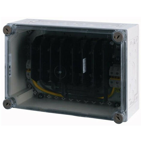 Coffret à fusibles 2x embase 3p NH00 100A HxLxP 250x375x150mm EATON 2GS00/I43E-V2K