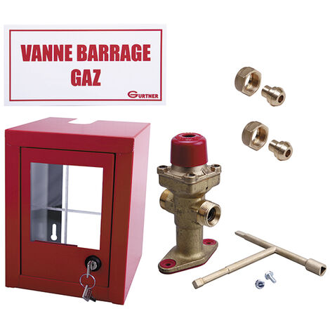 Coffret coupure Gaz avec vanne coup de poing DN15 et signalisation