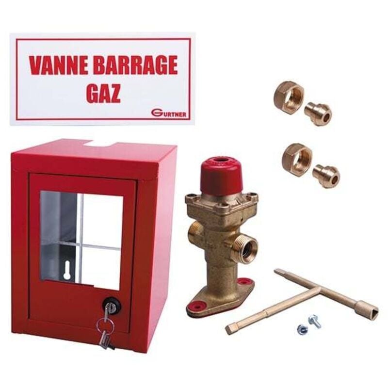 Gurtner - Coffret coupure Gaz avec vanne coup de poing DN25 et signalisation