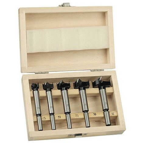 Coffret de 5 fraises Forstner – Acier HSS – Queue cylindrique 8mm – Diamètres 15 à 35mm pour défonceuse et affleureuse – Beast