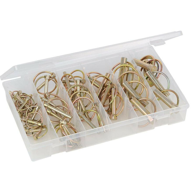 Coffret de 50 goupilles clips d'attelage agricole assorties de 4,5 à 10 mm
