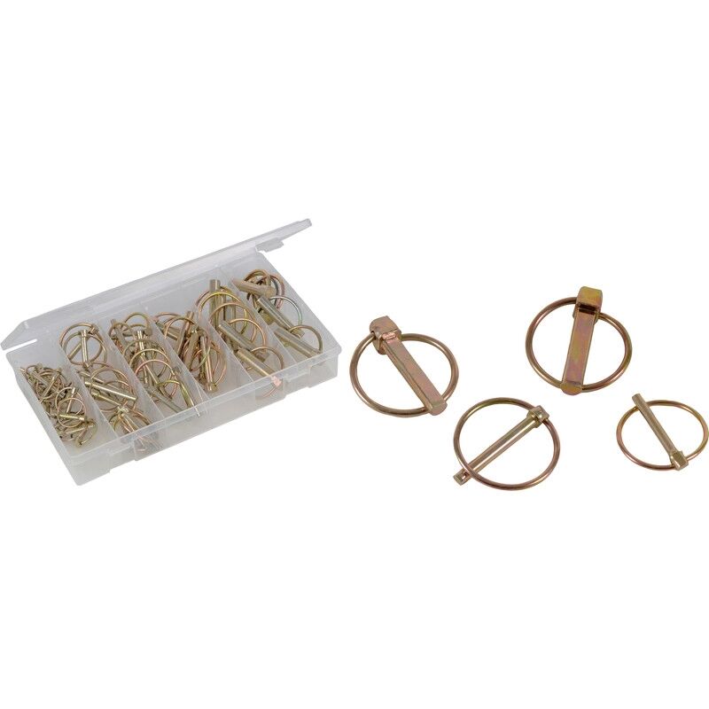 Coffret de goupilles clips Fixman 868886