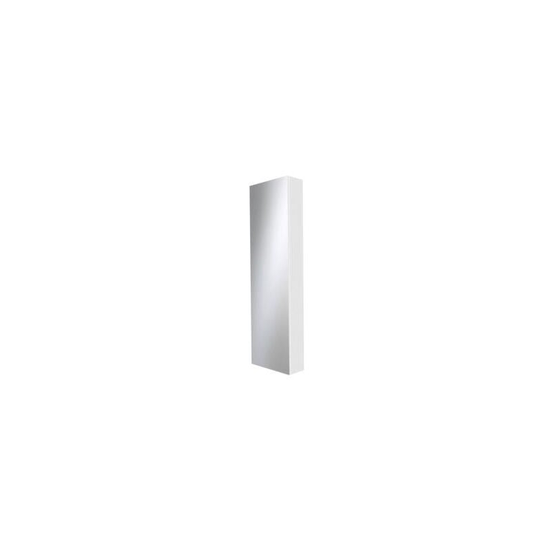 Coffret d'habillage Atole 13 modules en acier blanc avec porte miroir - h. utile : 1110 mm