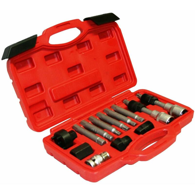 Varan Motors - VT01573 Coffret d'outils pour démontage de la poulie d'alternateur, Universel, 13 pièces - Rouge