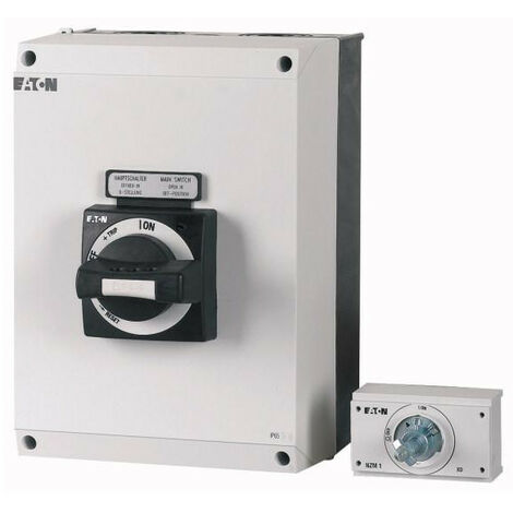 Coffret isolant HxLxP 280x200x160mm pour taille 1 000271521 EATON NZM1 XCIK5 TVD
