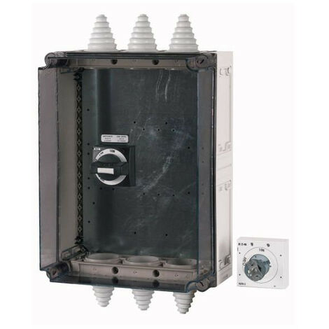 Coffret isolant HxLxP 500x250x225mm pour taille 2 000280418 EATON NZM2 XCI45 TVD