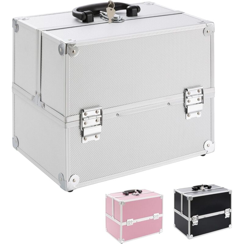 Conteneur Cosmetics 15L Mallette Maquillage Rangement ValiseCompartiments coulissants sur Les Deux côtés Argent - Arebos