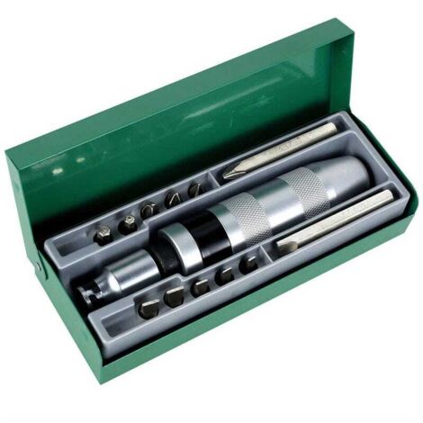 Coffret Professionnel 13 pièces Tournevis à Choc avec Burins et Extracteur de Vis en Acier Chrome Vanadium pour Réparations Mécaniques