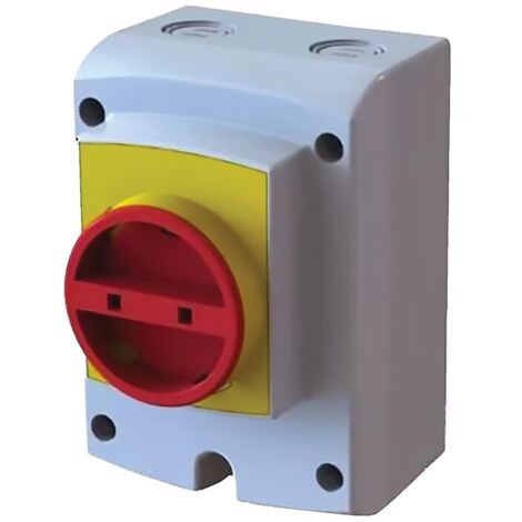 COFFRET PROTECTION IP66 3 PÔLES 32A AVEC PRESSE ÉTOUPE M25 TAILLE MAX