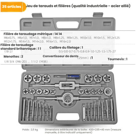 Coffret Tarauds et Filières 35 pièces M3-M12, Filetage Fin et Large, Acier Allié GCr15, Mallette de Transport - Kit de Taraudage et Filetage