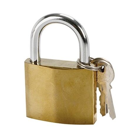 Cogex - cadenas acier 50 mm - 80037 - 3219510800377