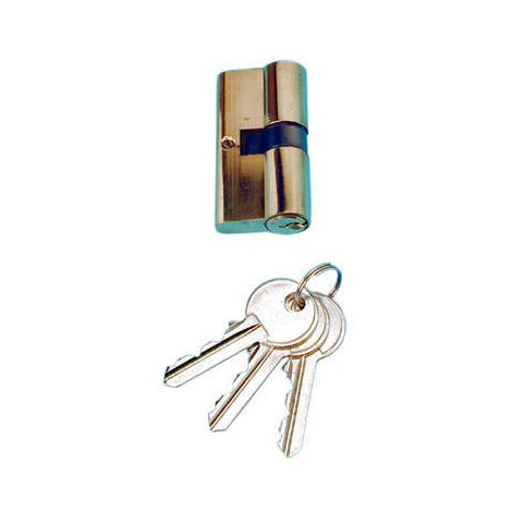 COGEX CYLINDRE POUR PORTE EN METAL + 3 CLES SECURITE EUROPE