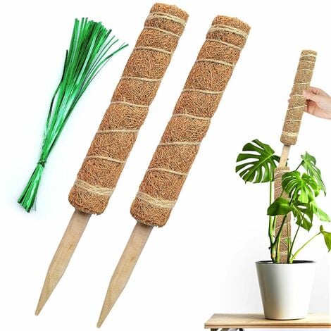 Coir Pole, 2PCS 30cm Monstera Plant Support, Moss Pole for Cheese Plant Indoor and Outdoor Climbing Plant Support Extension Indoor Plants to Grow Upwards ​Creepers with 100 Ties