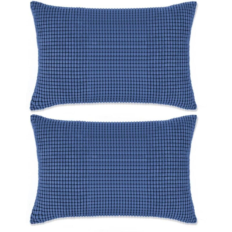 

vidaXL Cojines de terciopelo 40x60 cm azul 2 unidades - Azul