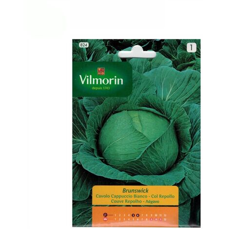 Col Seeds Brunswick Vilmorin 6G Cavolo