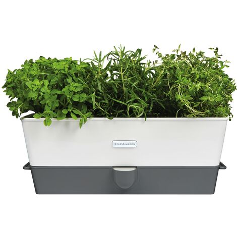 Cole & Mason conservante di erba in vaso con scompartimenti, colore: bianco/grigio, Altro, Bianco/Grigio, 13,5 x 35 x 12,5 cm