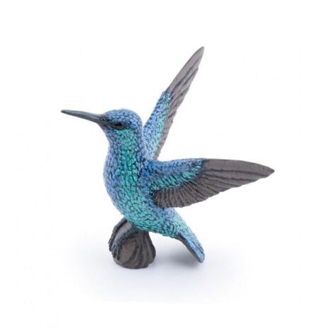 Colibrí
