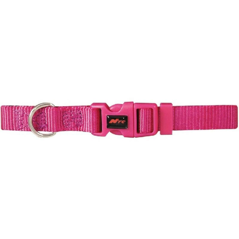 

Collar Basic Fucsia 10Mm X 20-30Cm