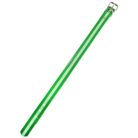 COLLAR BIOTHANE BANDERA ANDALUCIA 40CM