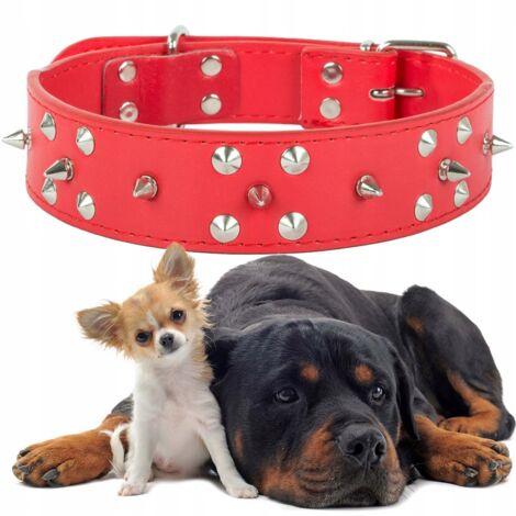 Collar de cuero 4.0 tachas (240) GABA