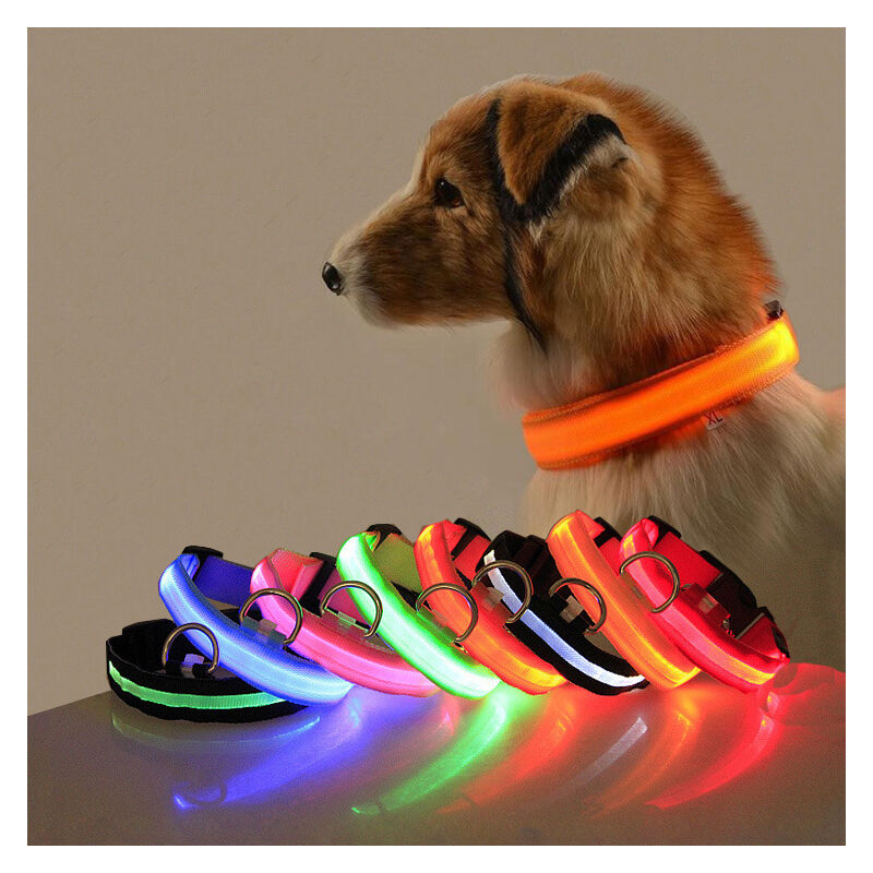 

Collar de perro con luz LED de 2 piezas Longitud de carga USB ajustable - Luz naranja, luz azul