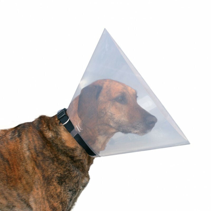 

collar protector, S-M, 31-38 cm / 15 cm para perros