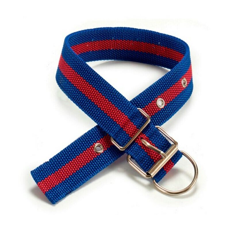 

Collar Grande Apto para perros y otras mascotas (0,5 x 51 x 4 cm)