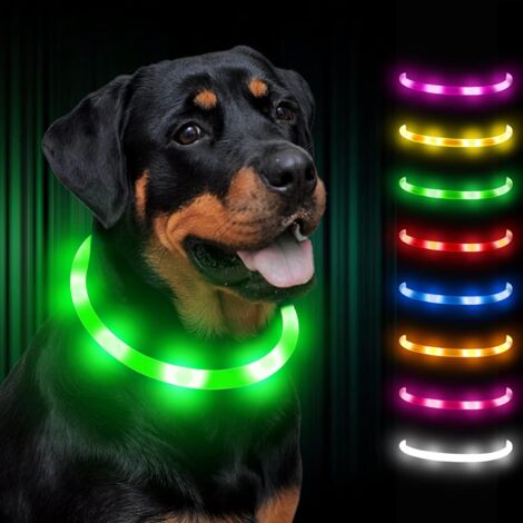 Collar luminoso para perros, ajustable, recargable, LED para perros pequeños, grandes y medianos – Verde