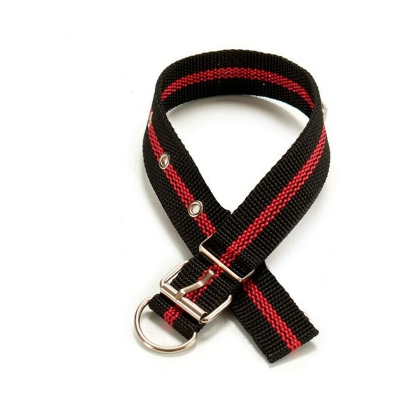 

Collar Mediano Apto para perros y otras mascotas (0,5 x 45,5 x 3 cm)