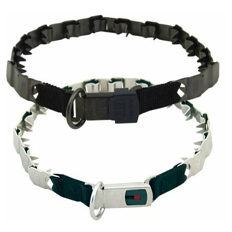 Collares, arneses y correas para adiestramiento y educación del perro
