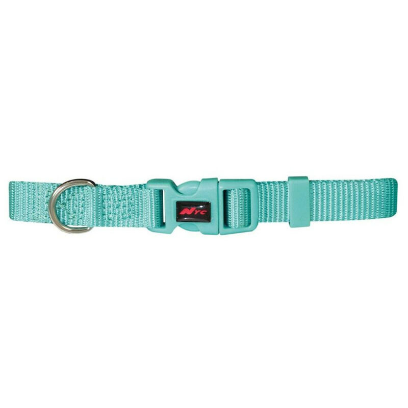 

Collar Perro Azul Aguamarina - 33-40Cm